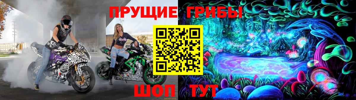 дарнет шоп  Псилоцибиновые грибы ЛСД  Вход с VPN  Тверь 