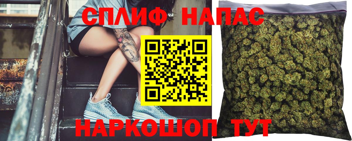 Бошки Шишки сатива Тверь